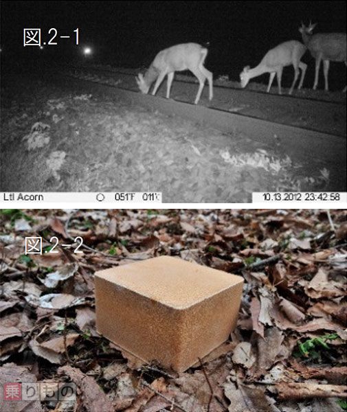Web site image