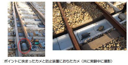 Web site image