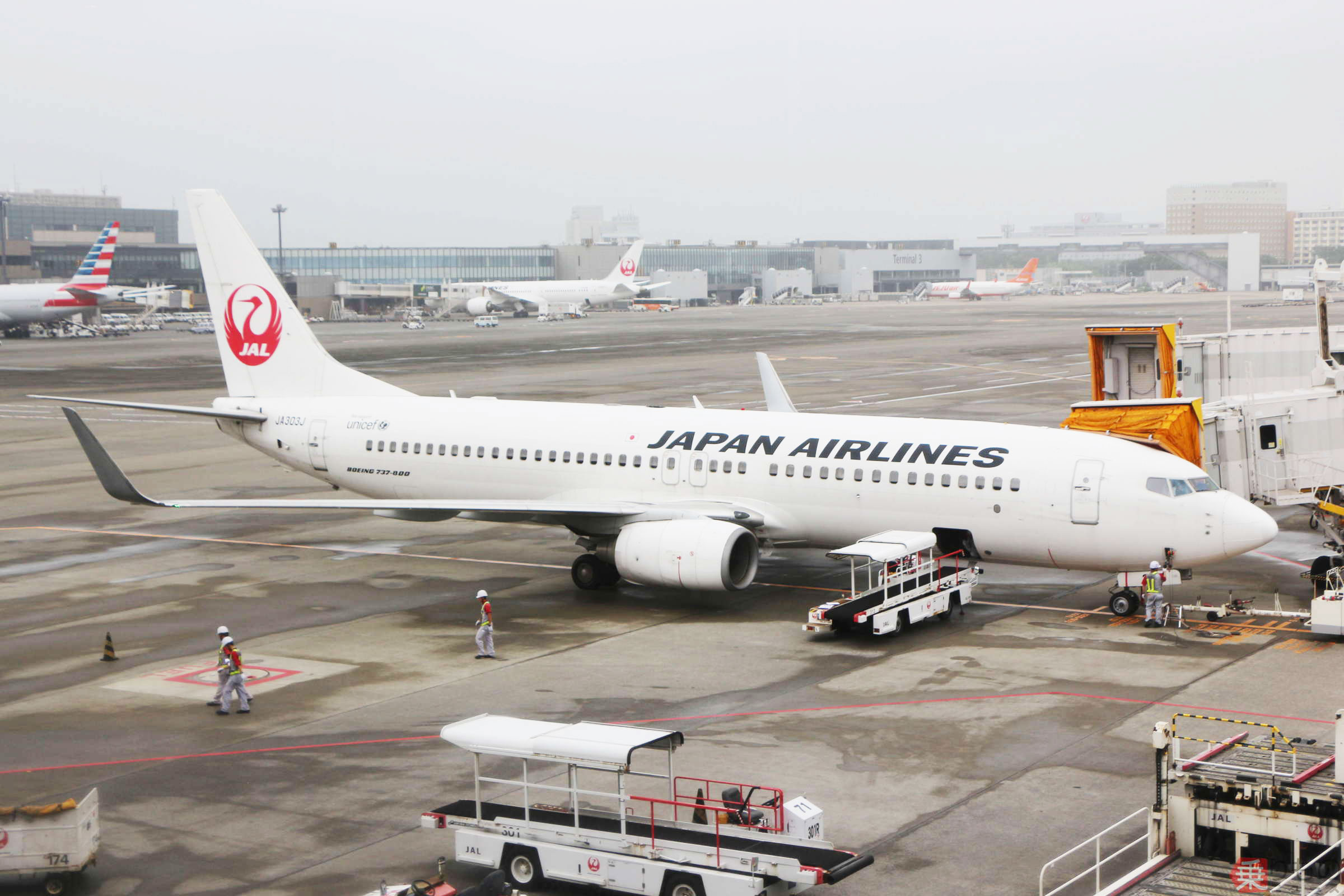 JAL ネクタイピン DC-8 空の貴婦人