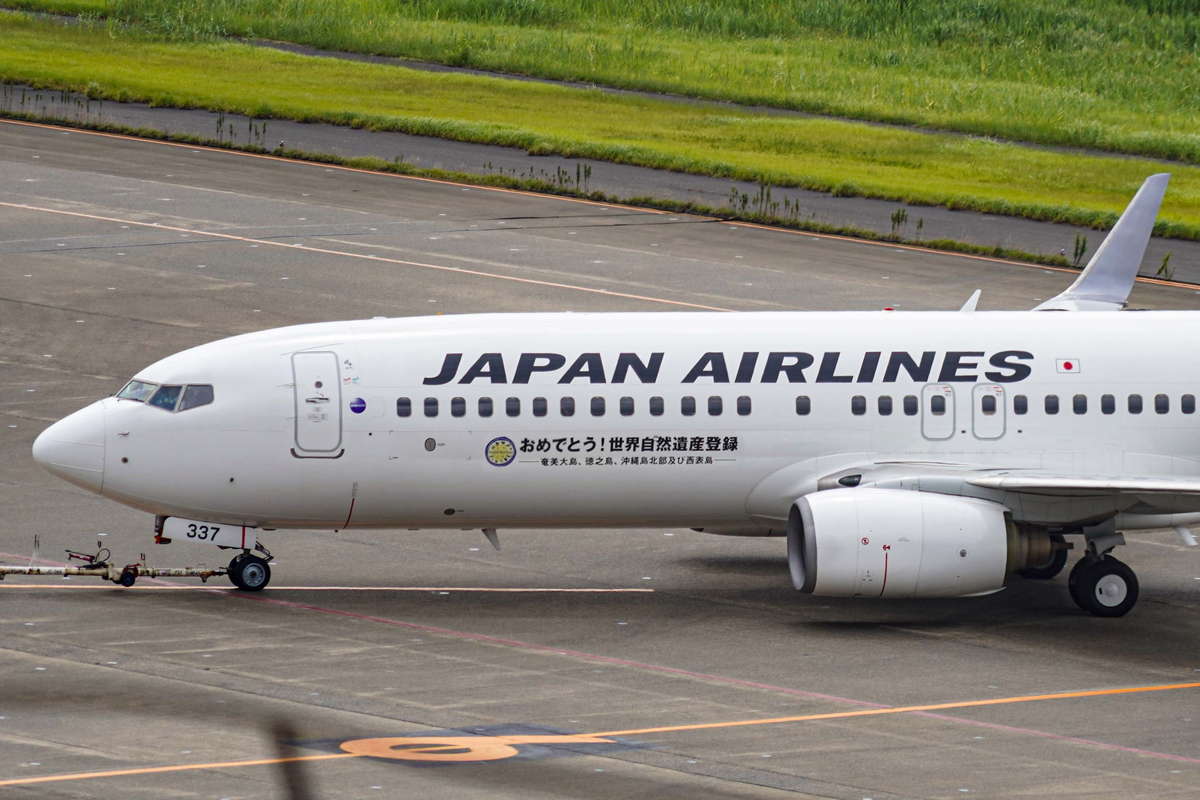 BOEING 737-800 JAL JA329J おめでとう！世界文化遺産登録 JAL、沖縄・奄美の世界遺産登録で特別塗装機 初便は奄美へ