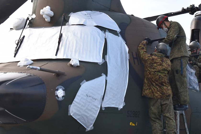 ちべ☆ 特大ドングリ80個 楽天市場】【5H限定豪華プレゼント 2/6 19時