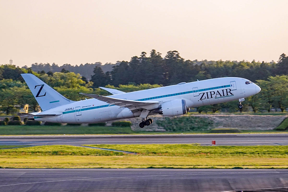 ユナイテッド航空 ハワイ路線販促用 サインボード メネフネ&Tiki 非売品 61bkiQaIHiL._AC_SY200_QL15_.jpg