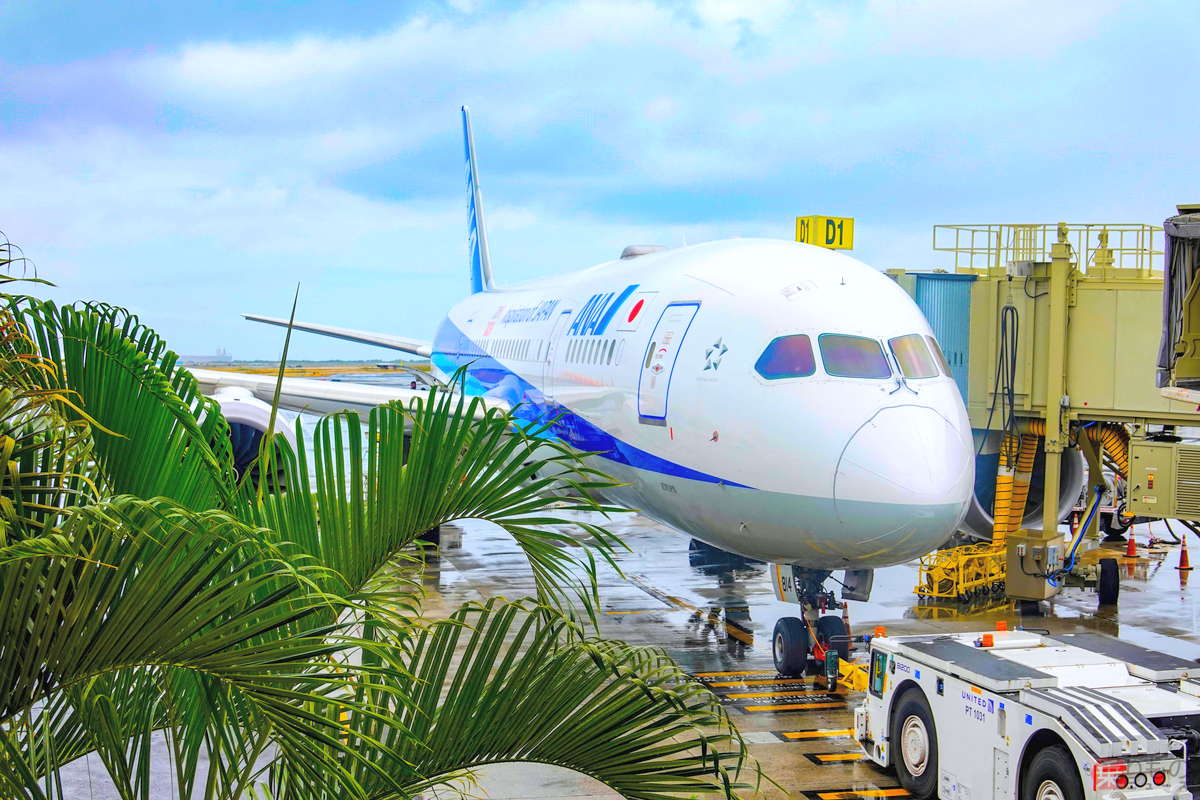 2年越し“隔離なし海外旅行”の強い味方？ 「ファストトラック」で帰国の