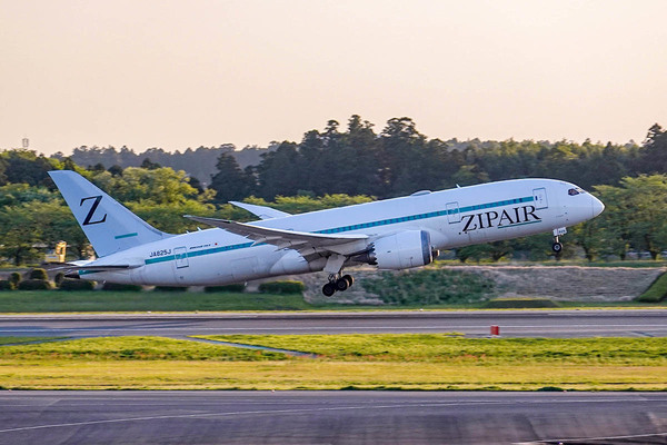 新品　日本航空　JAL トラベルオーガナイザー　革製品 AVIATON Interior B777 Class J Seat Single JAL クラスJシート