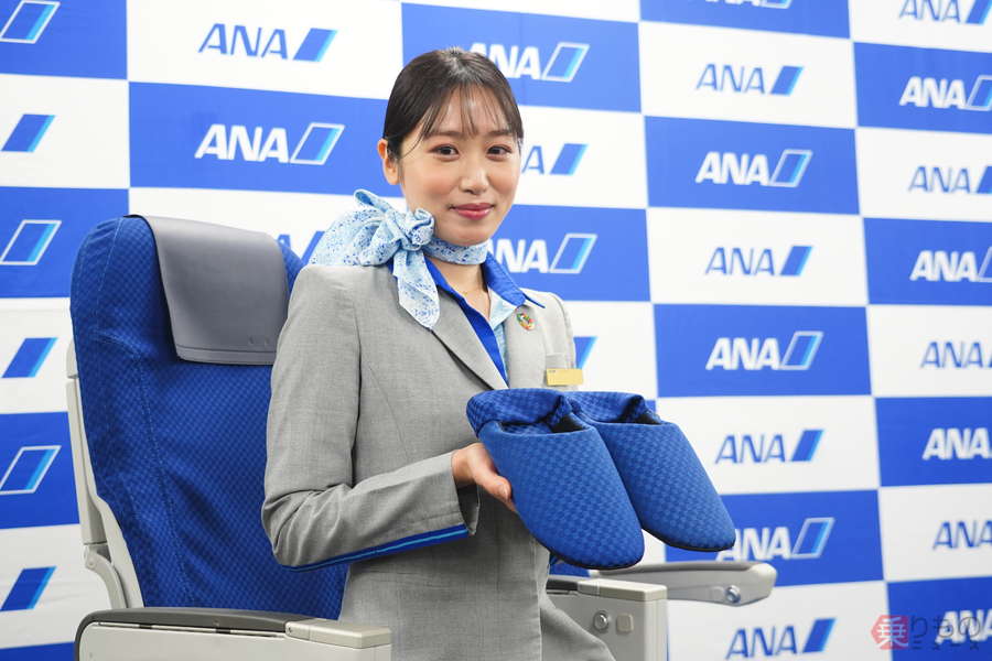 ANA ルームシューズ　Q400国内線普通席　Lサイズ ルームシューズ（Q400国内線普通席）(M): トップページ（ANA