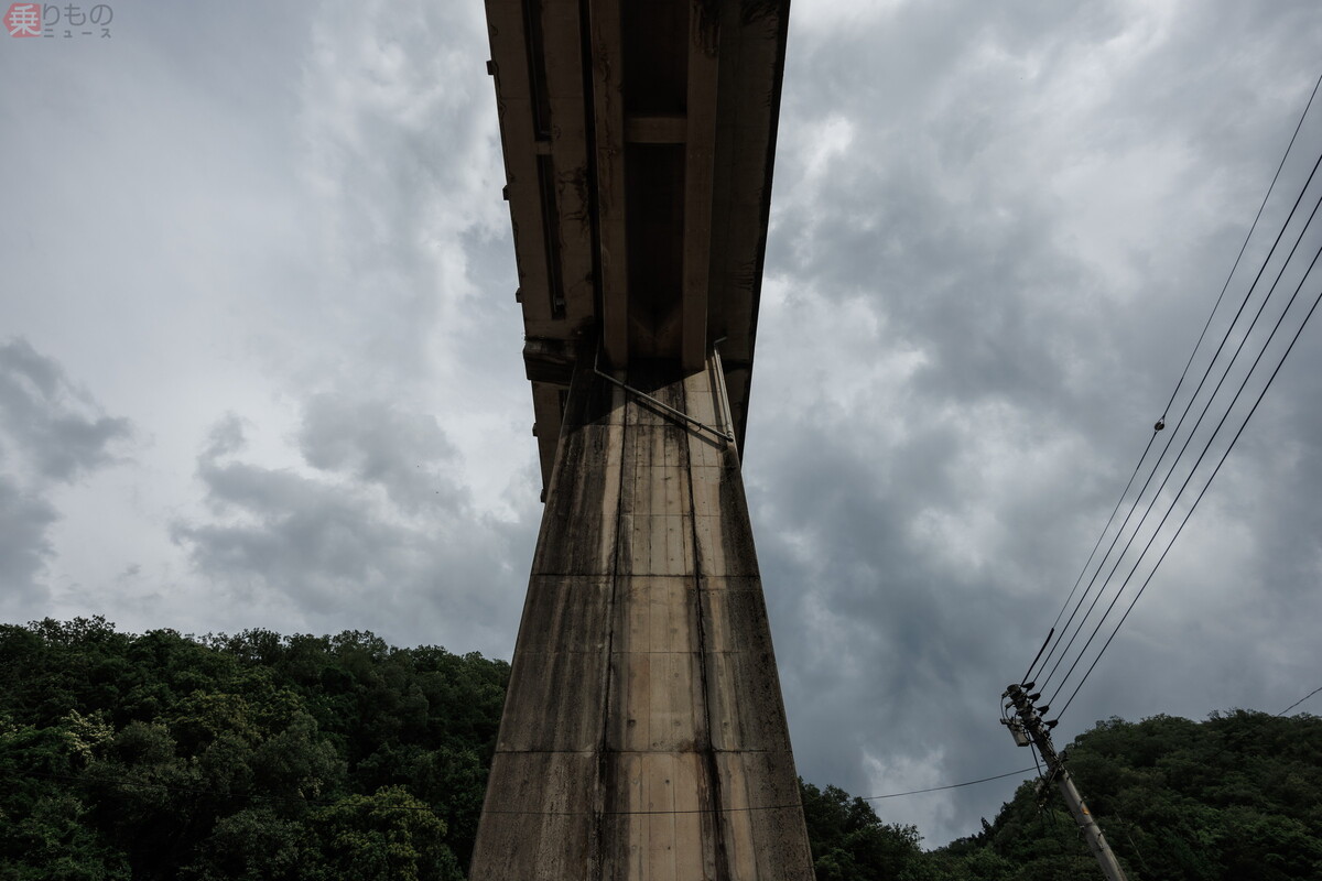 Large 20230627 07