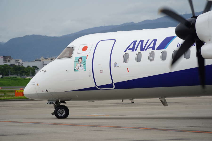 さりげなすぎる特別機!？ ANA新「鬼滅の刃」特別機デビュー