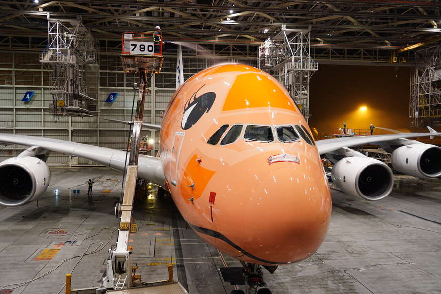 ripiさん専用／ホヌオレンジ 約50cm 他機と作業どう違う？ ANA巨大機「オレンジのA380」初の機体洗浄