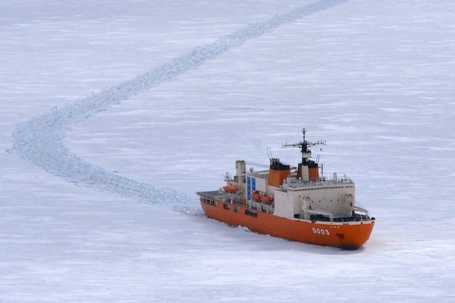 砕氷艦「しらせ」乗員が直伝！“生野菜が長持ちする裏ワザ” 台所では