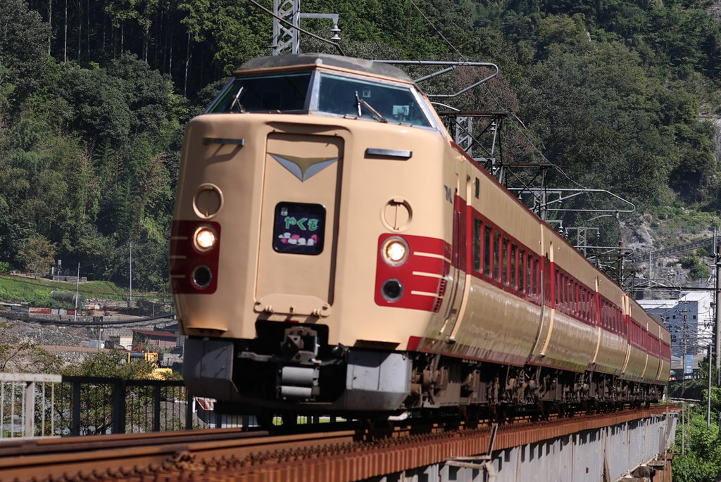 WAPAGA様特急やくも号381系引退記念品払い下げ。 コレクション