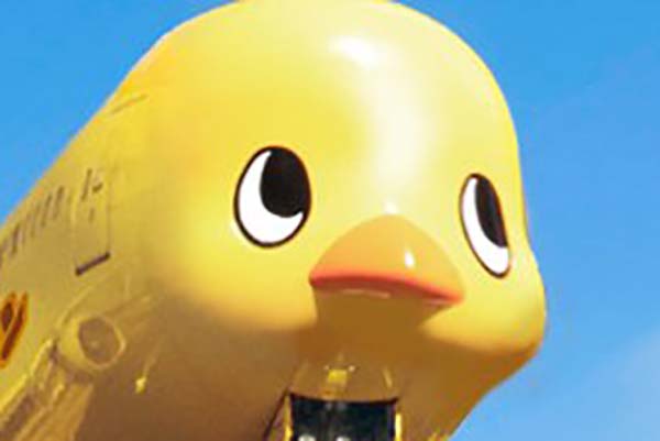 ひよこちゃん［値下げこの機会に是非］ 130092_01.jpg