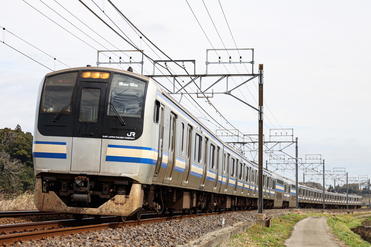 Captivating 横須賀線 ダイヤ Capture Nature Captivating 横須賀線 ダイヤ Capture Nature