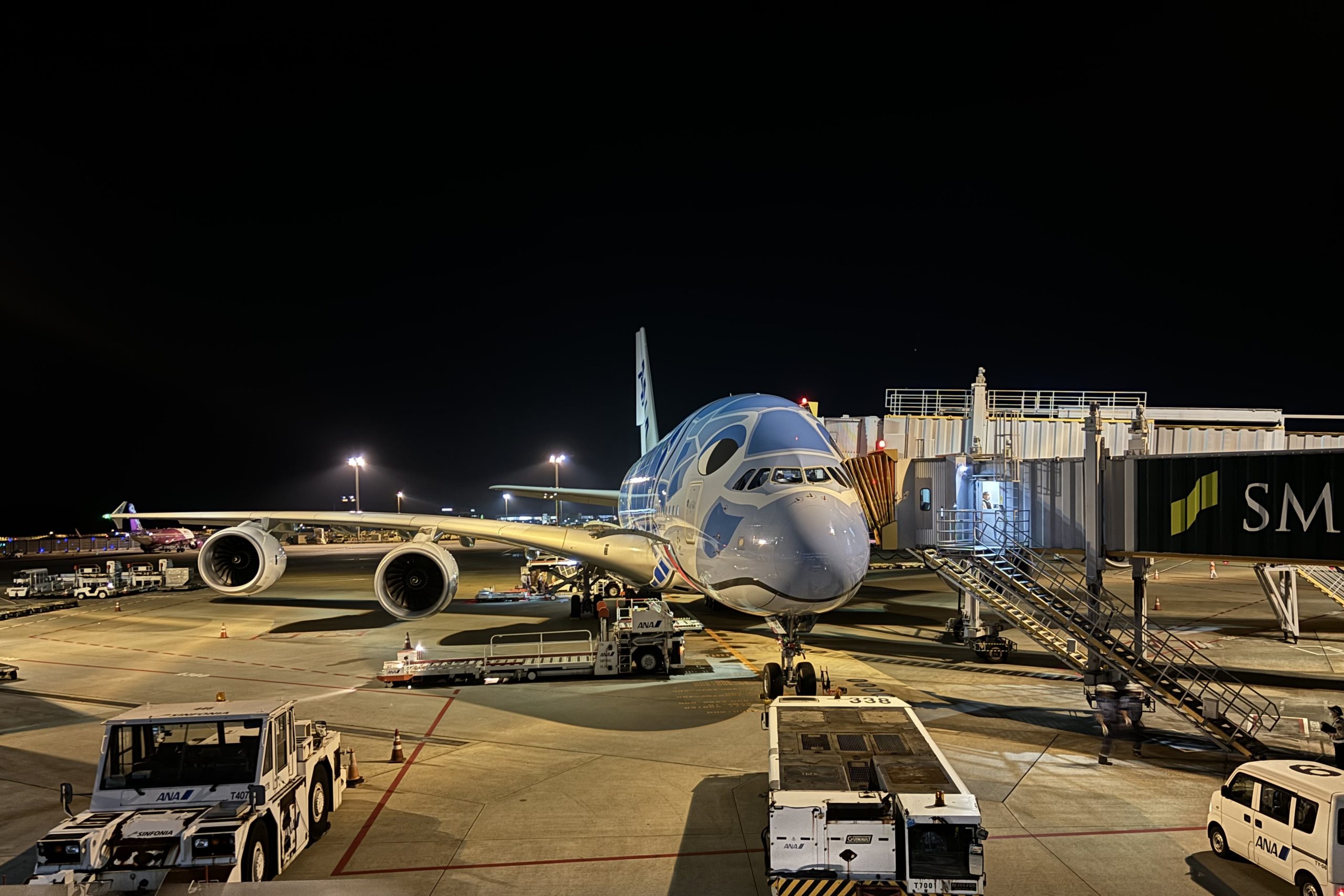 ANA超巨大機「空飛ぶウミガメ」でハワイに着いたら“続き”がある