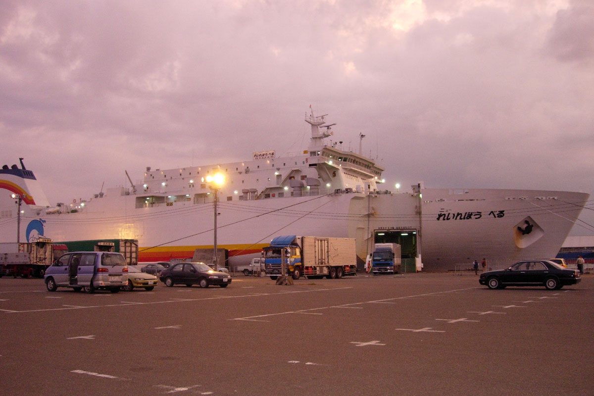 Large 20241108 05