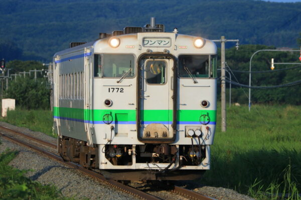 Large 20250501 01