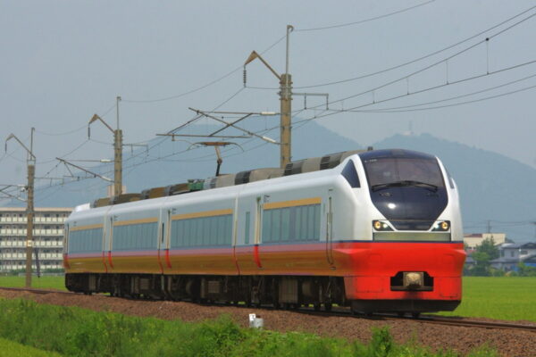 Large 20250515 01
