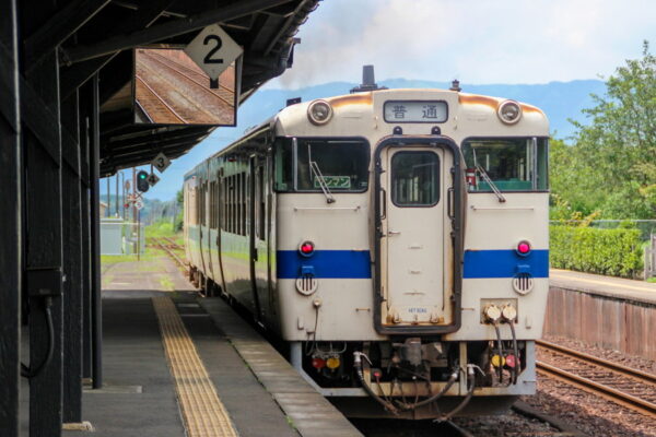Large 20250520 01
