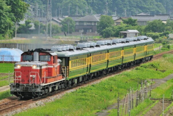Large 20250517 01