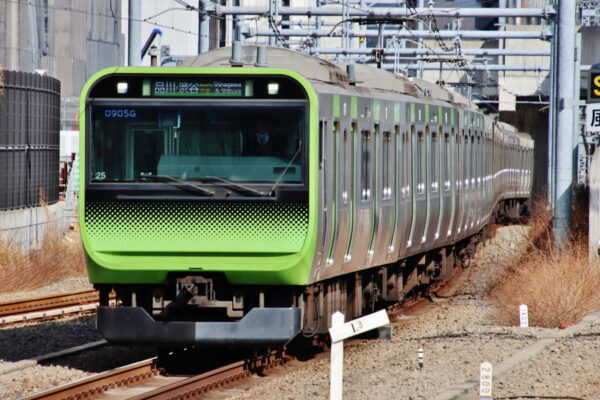 Large 20250502 01