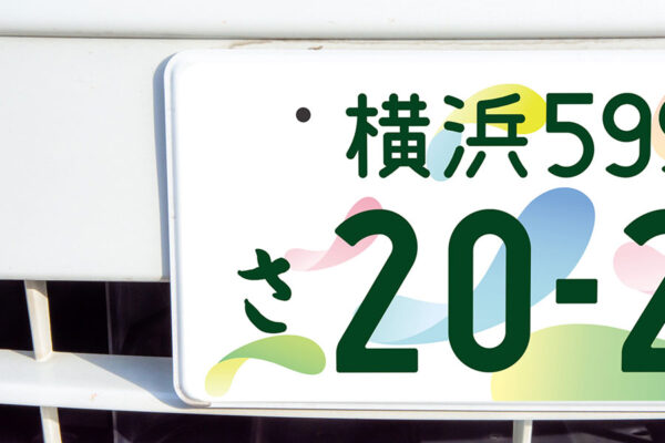 Large 20250503 01