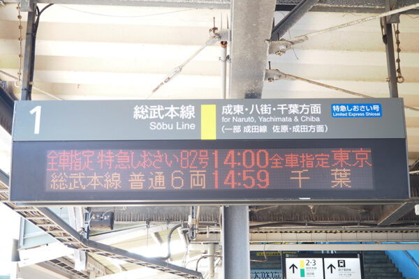 Large 20250511 01
