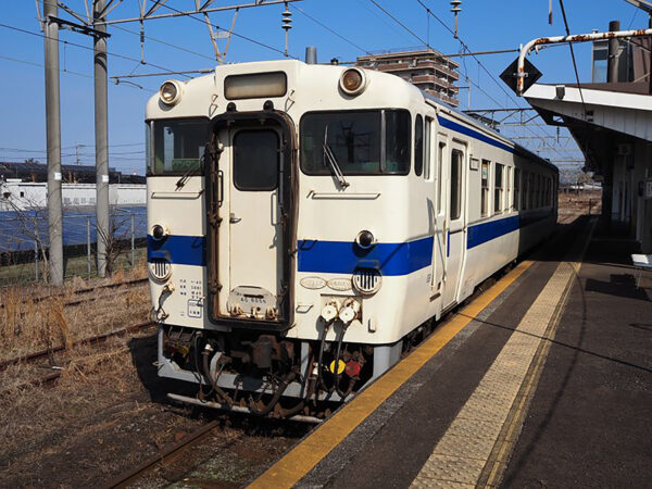 Large 20250518 01
