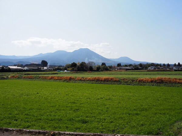 Large 20250518 01