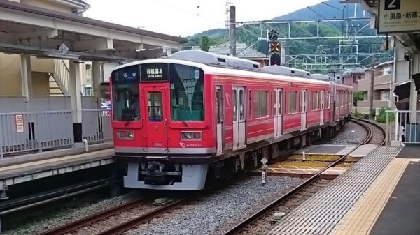 Large 20250514 01