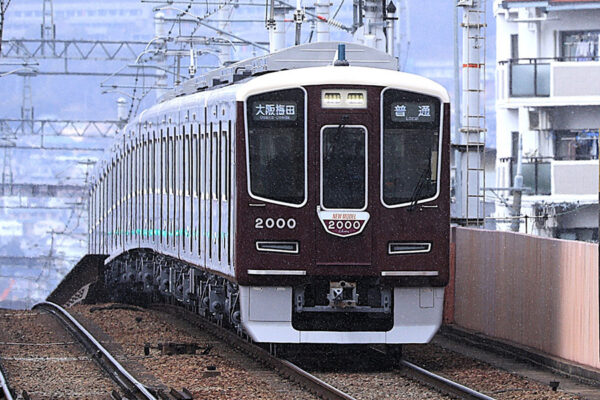 Large 20250515 01