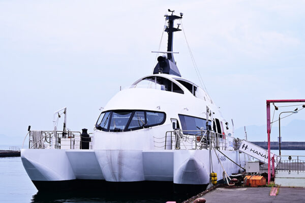 Large 20250528 01