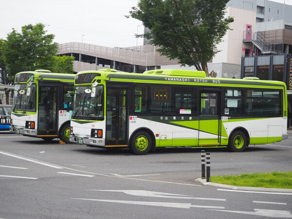 Large 20250608 01