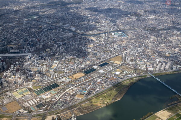 Large 20250606 01