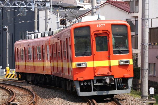 Large 20250627 01