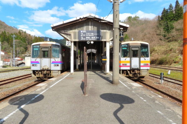 Large 20250617 01