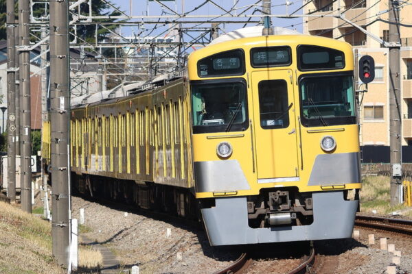 Large 20250630 01
