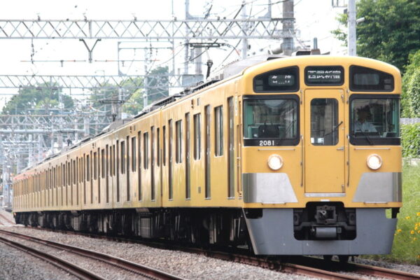 Large 20250616 01