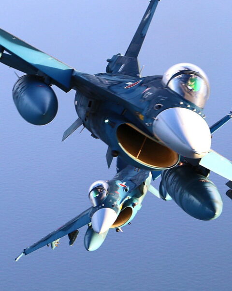 Large 20250620 01