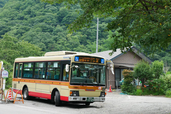 Large 20250610 01