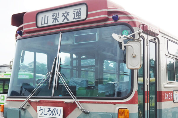 Large 20250615 01