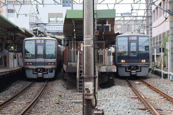Large 20250626 01
