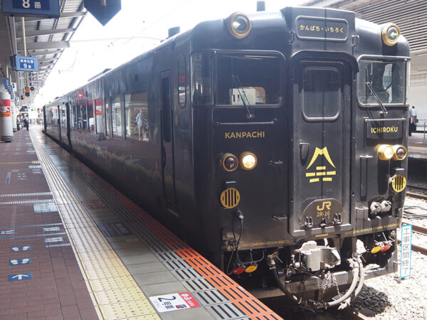 Large 20250629 01