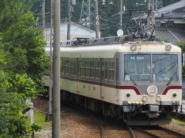 Large 20250709 01