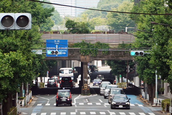 Large 20250712 01