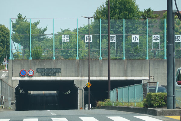 Large 20250712 01