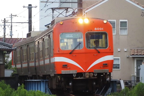 Large 20250711 01