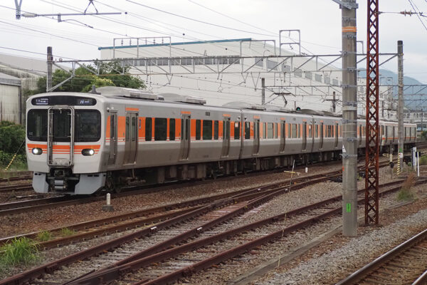 Large 20250711 01