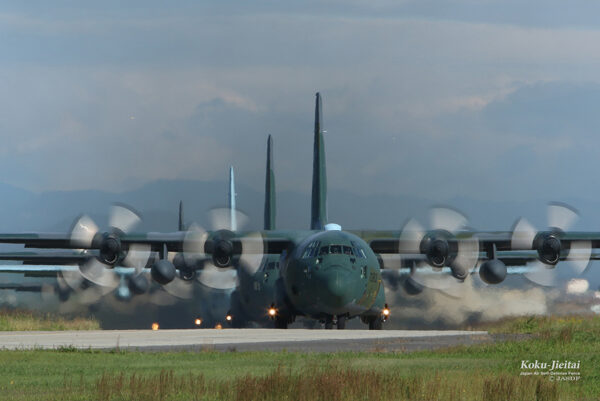 Large figure2 gallery7