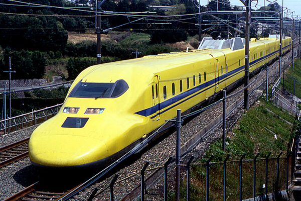 Large 20250612 01
