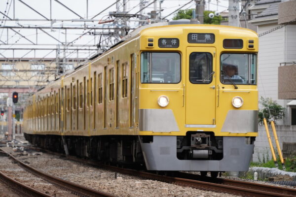 Large 20250730 01