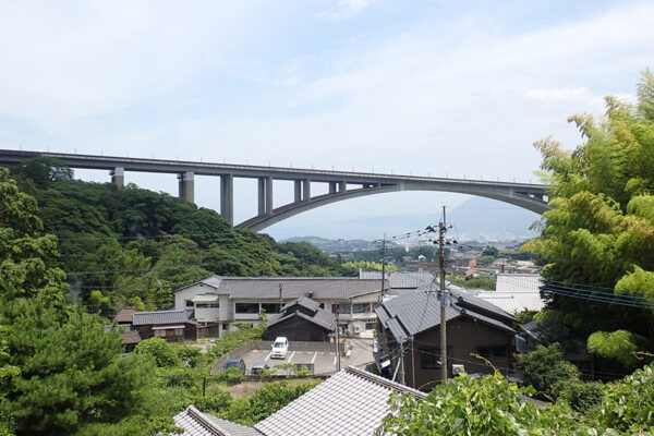 Large 20250719 01